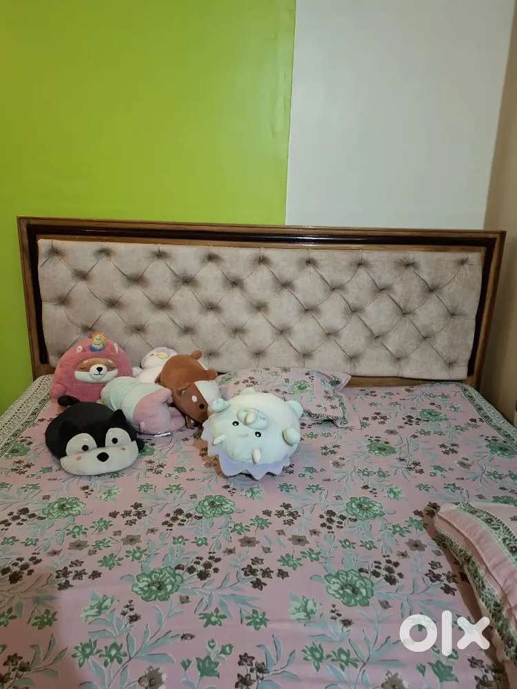 Need female roommate