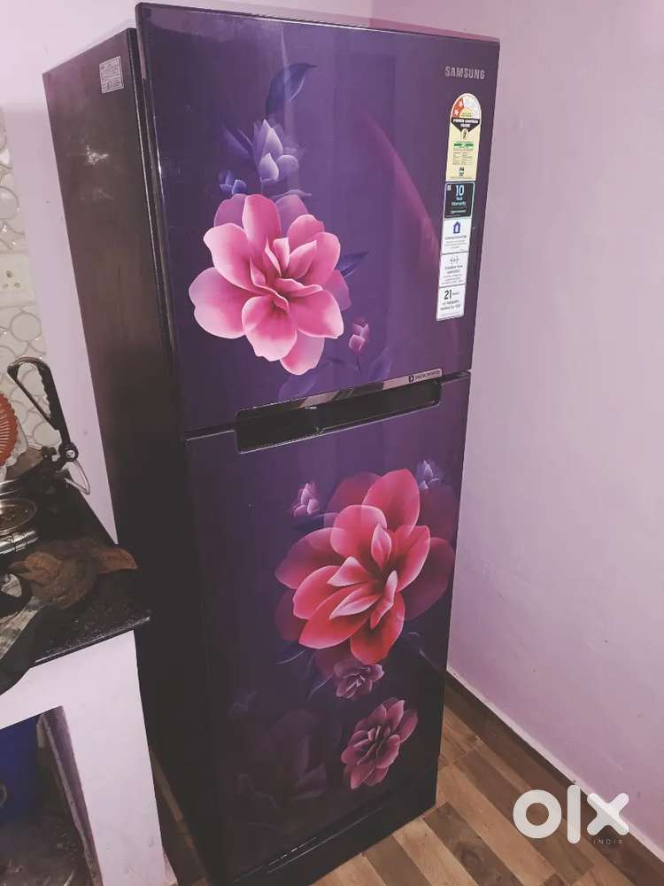 Samsung 234 L double door fridge