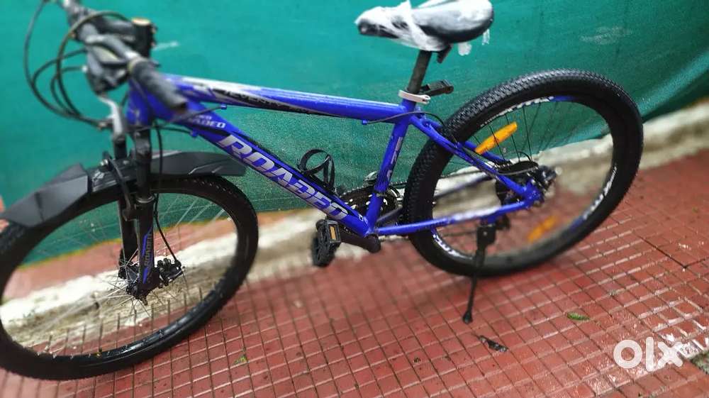 21 gear Cycle