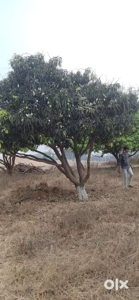 1 to 5 acres I have a open land' I want to give for rent or lease