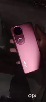 Vivo v50 mobile
