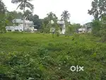 6-12 Cent Plots in Manisseri Ottapalam – Near Valluvanad Hospital