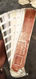 Dying lab Shad book pontone all colours