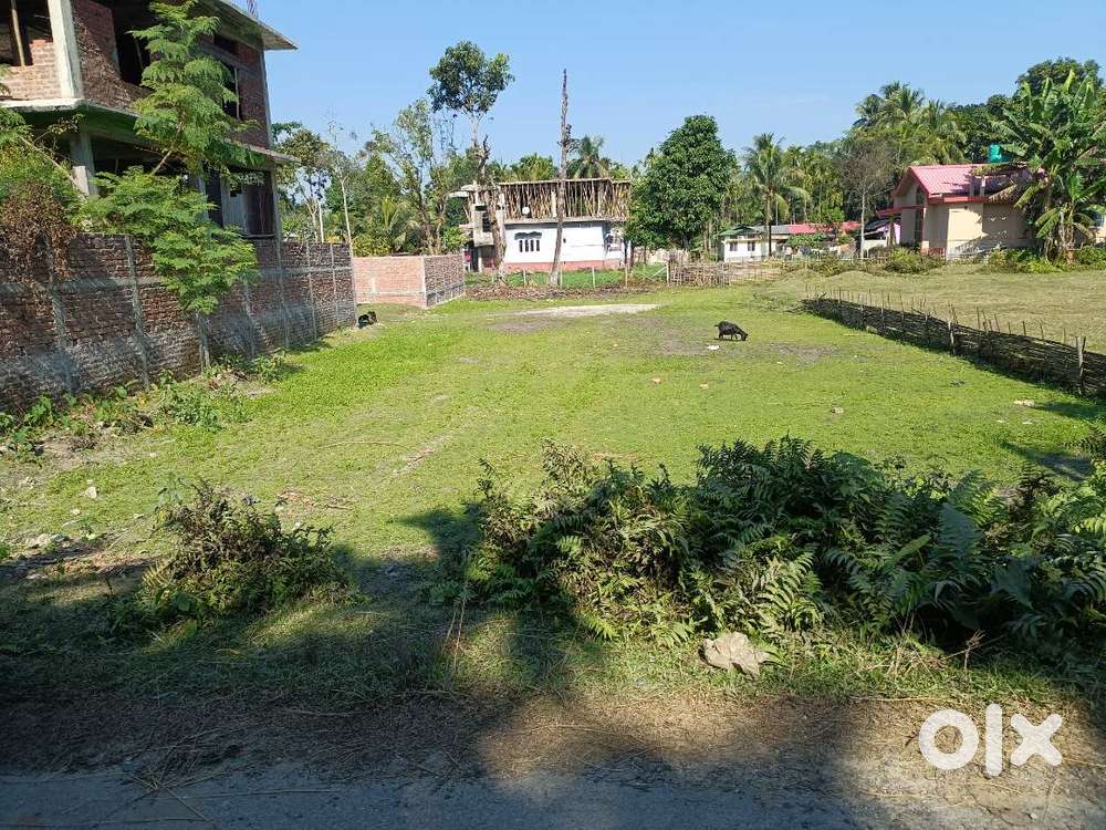 1/2 Bigha myadi patta Plot of land by owner  no broker.Immediate sale.
