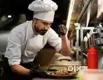 Need south indian chef for cafe in kochi