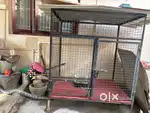 Dog kennel - cage