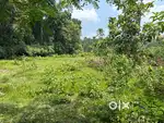 Riverside land suitable for drinking Water Company, resort