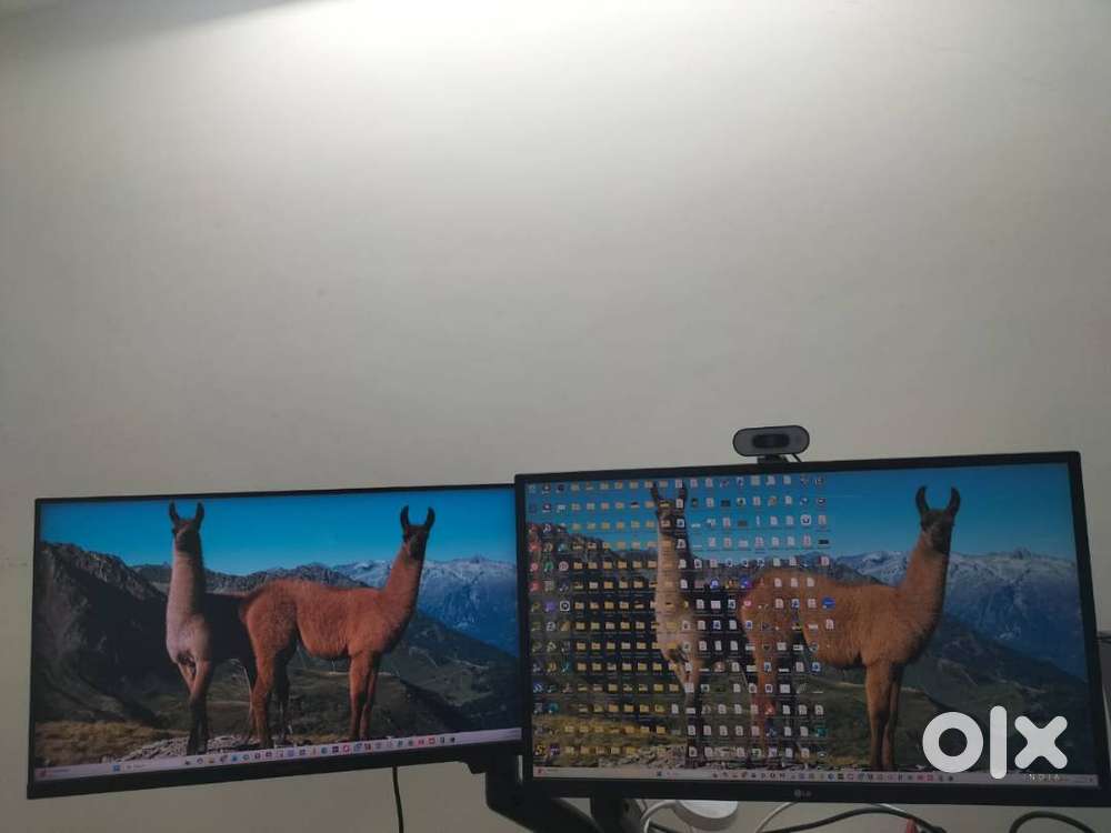 Dual Monitor Setup Plus Monitor Arm Stand