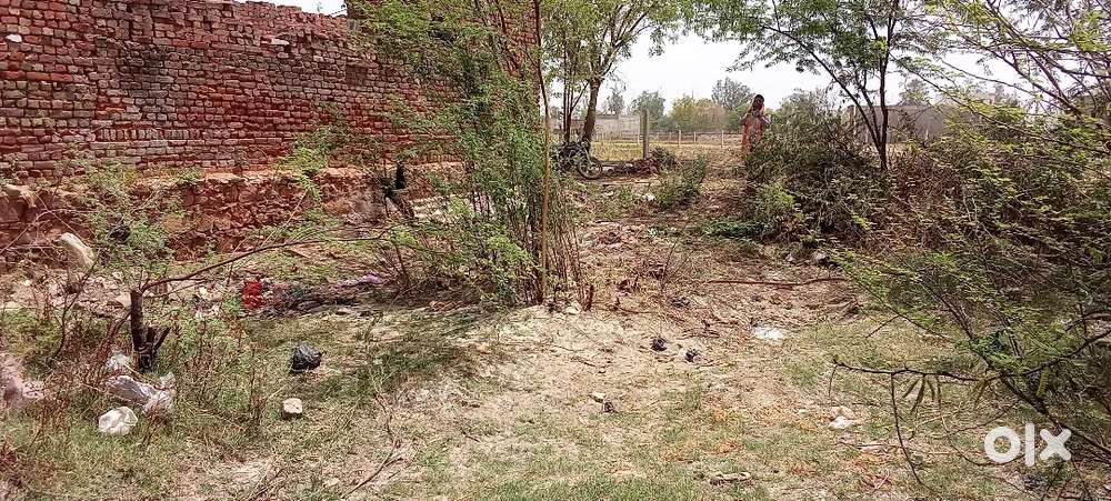 sarkari complex sarkari shcool ke pas pilot