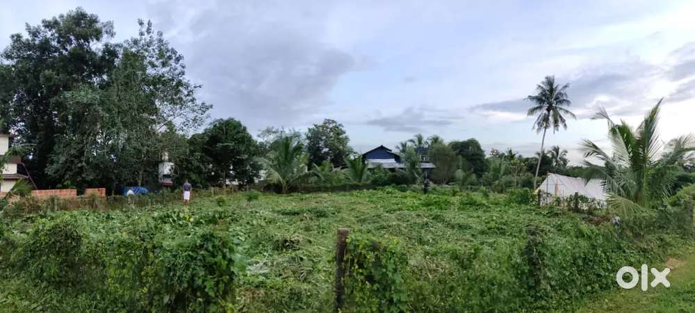 Urgent 12,cent plot for sale