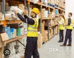 G picker and packer job @ Kodambakkam