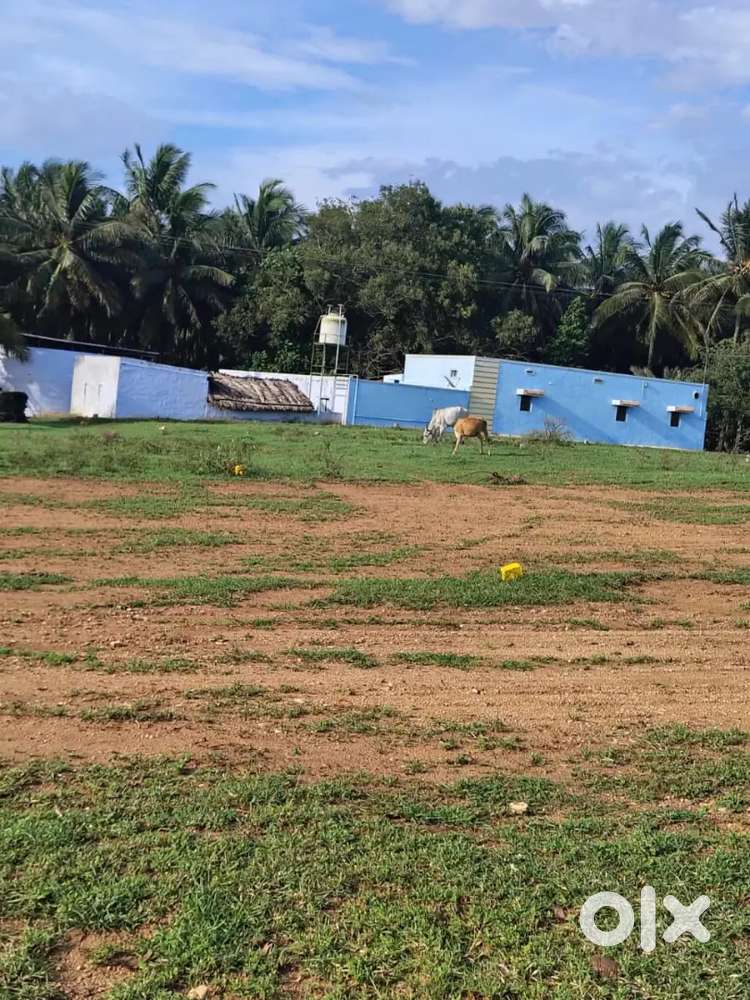 DTCP PLOT  sale near vien veenai CBSE SCHOOL PER CENT 3.80