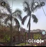 Kothi with huge space and wide front