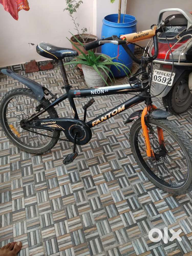Phantom bicycle