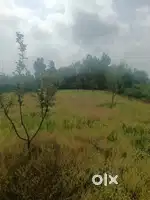 Fifteen lac per kanal