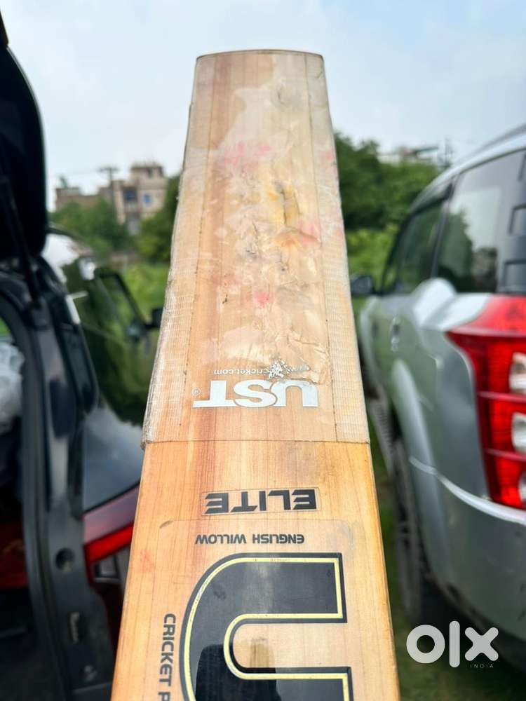 Cricket bats