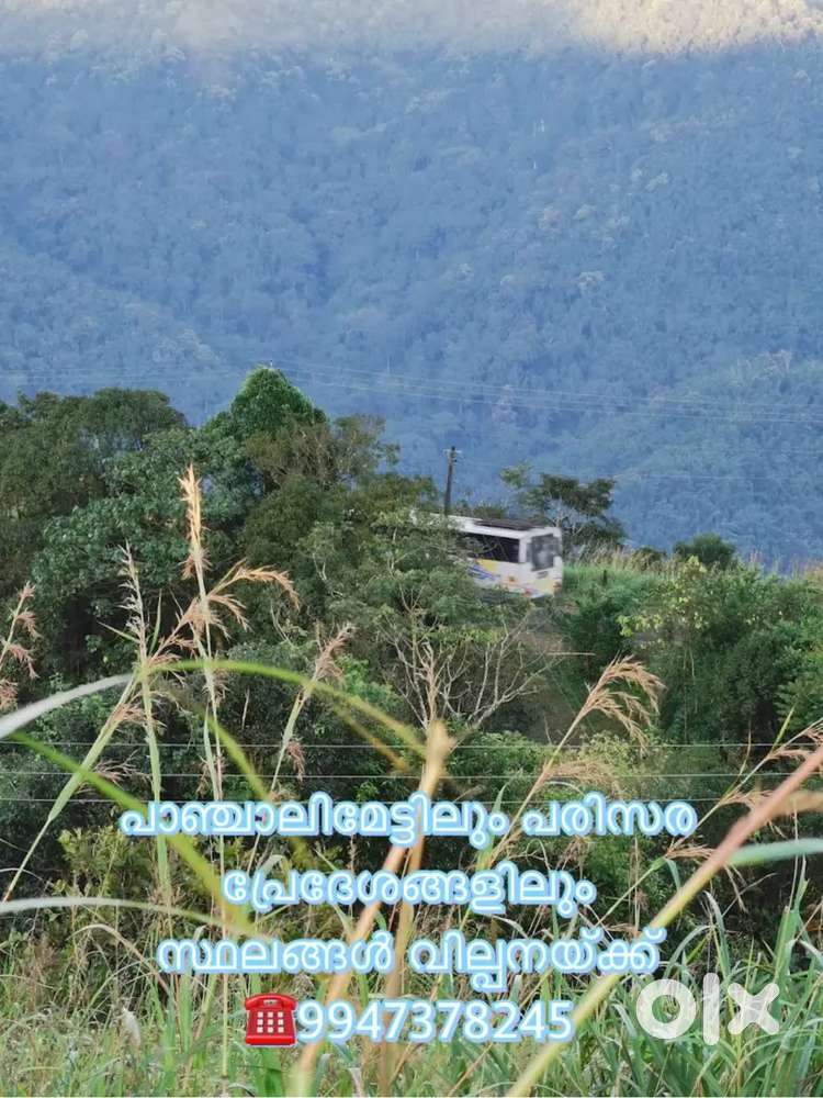 പാഞ്ചാലിമേട്ടിലും പരിസര പ്രേദേശങ്ങളിലും  സ്ഥലങ്ങൾ വില്പനയ്ക്ക്