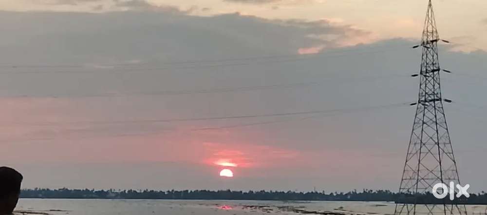 Wanted Female therapist