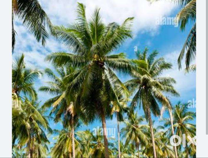 புத்தேரியில் இடம் விற்பனைக்கு