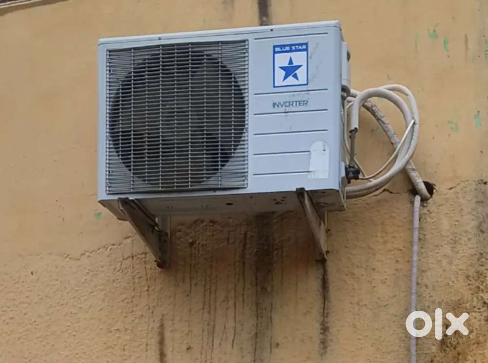 Bluestar inverter