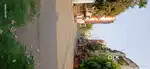 Rent for medicine company e.g. mediplus,apollo, frankrose.New property