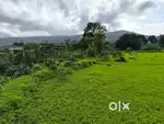 FARMHOUSE PLOT FOR SALE