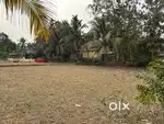 Urgently I want to sale my own land medi patta Matti
