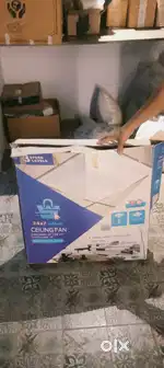 Ceiling fan