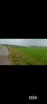 Agriculture land