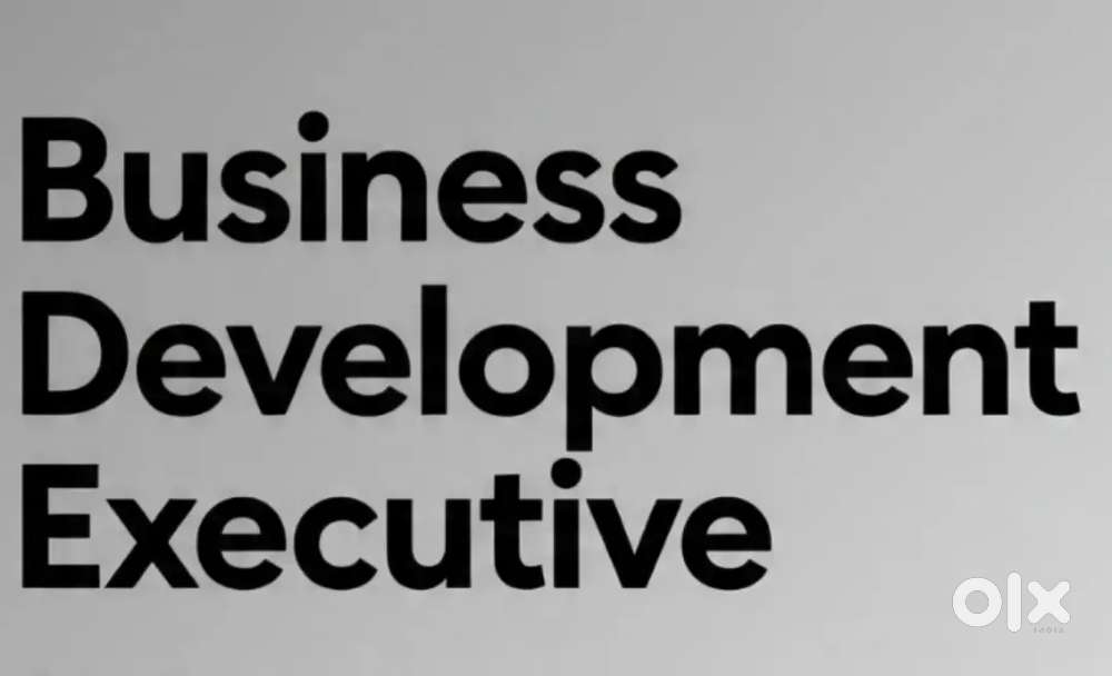 Business Development Executive / Intern