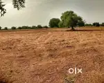 Agriculture land