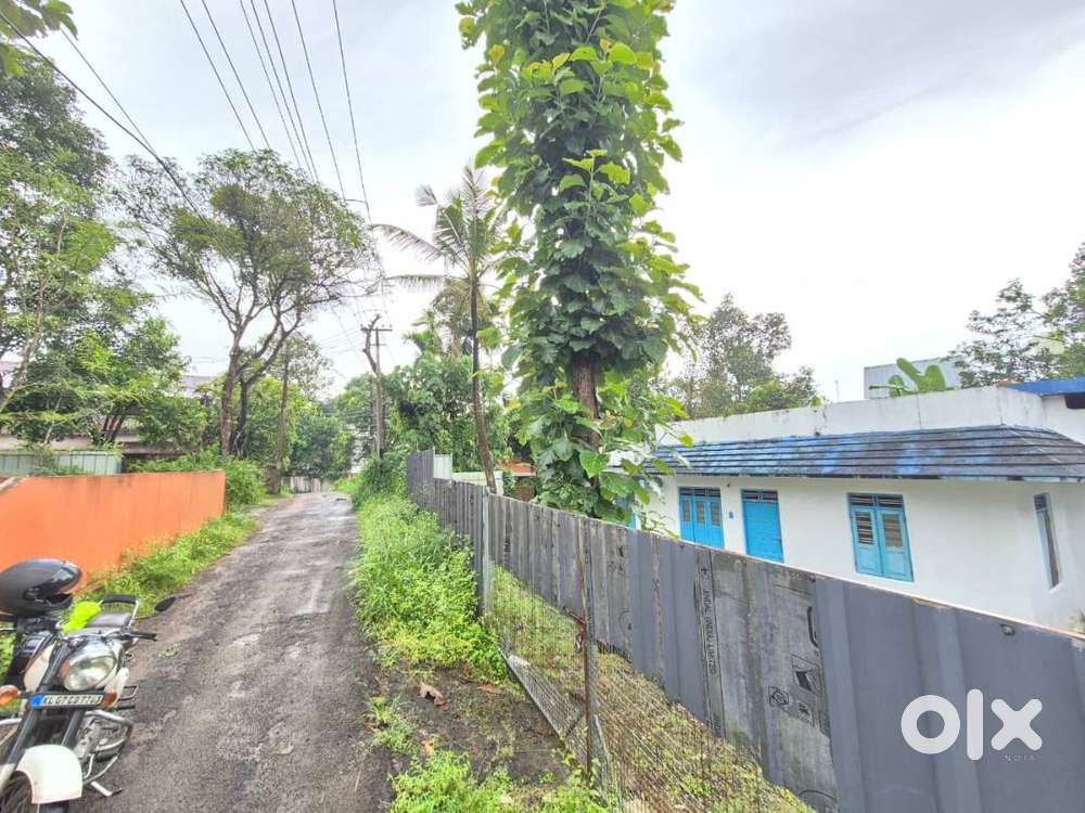 8Cent Land with Old House – Near Ration Kada Bus Stop, Panayikulam