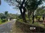 Trikaripur 15 cent plot for sale opposite to mujammal english school