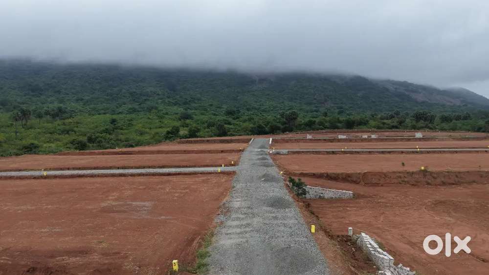 Beautiful farm land sale in Ettimadai