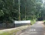 minippady Kothamangalam(chelad route)