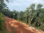 Land for sale.