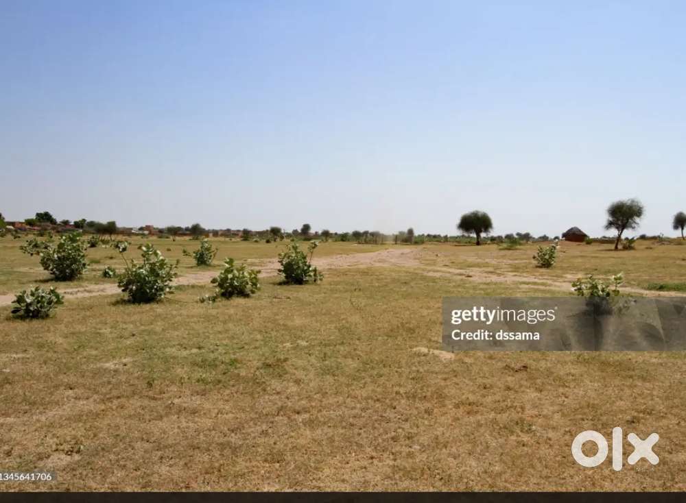 Land for Rent in Raichur
