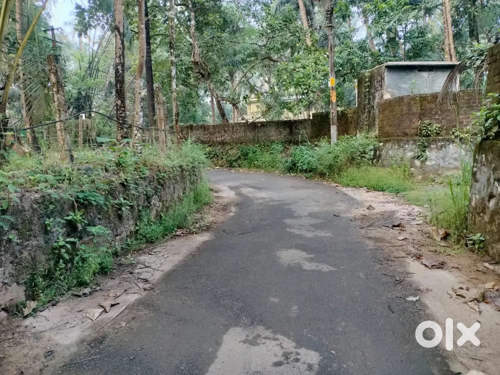 Plot for sale for 3.50 lakh per cent