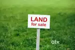 2.5 kattha land for sale in Habibpur