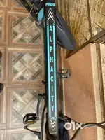 Frog bicycle 26 inch with 7 speed gear