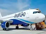 Job in indigo airlines 2025