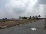 Plots Near Parandur Airport & Expressway – Book Now!