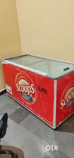 D Freezer Mint Condition