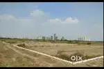 FNG highway के पास – ₹3,000,3500 प्रति गज में सस्ते plot मिल सकते हैं।