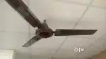 Usha sealing fan 10 peace