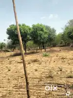 Morija bhojlawa gas agency ke piche
