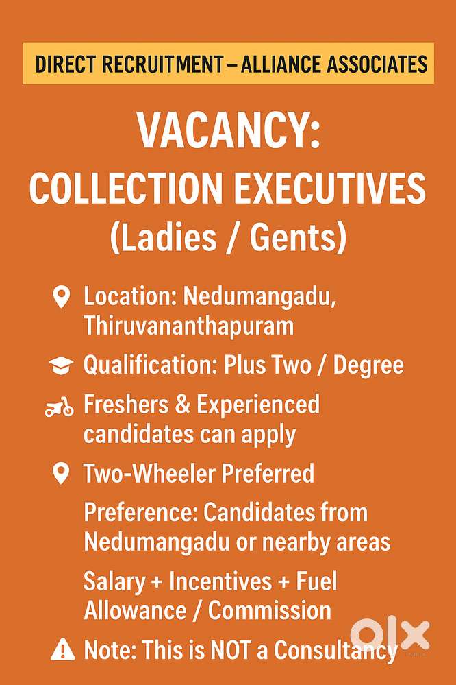 COLLECTION EXECUTIVES