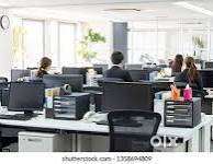 Back office executive