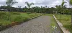 ചാലക്കുടി മേലൂർ പള്ളിയ്ക്ക് സമീപം 4cent മുതൽ housePlots വില്പനയ്ക്ക്