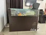 counter or reception table
